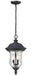 Z-Lite - 533CHM-BK - Two Light Outdoor Chain Mount - Armstrong - Black