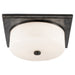 Visual Comfort - TOB 4216BZ-WG - Two Light Flush Mount - Newhouse Block - Bronze