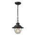 Elk Lighting - 45041/1 - One Light Outdoor Hanging Lantern - Searsport - Weathered Charcoal