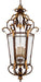Metropolitan - N3639-355 - Eight Light Foyer Pendant - Zaragoza - Golden Bronze