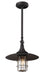 Troy Lighting - F3228 - One Light Hanging Lantern - Allegheny - Centennial Rust