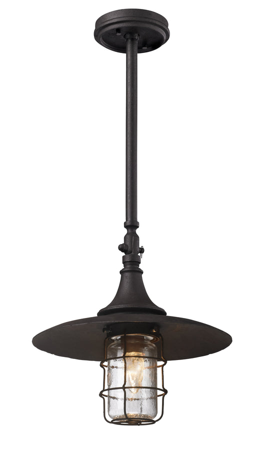 Troy Lighting - F3228 - One Light Hanging Lantern - Allegheny - Centennial Rust