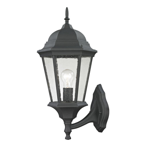 Temple Hill Outdoor Wall Sconce