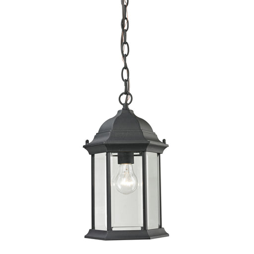 Thomas Lighting - 8601EH/65 - One Light Hanging Lantern - Spring Lake - Matte Textured Black
