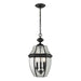 Thomas Lighting - 8603EH/60 - Three Light Hanging Lantern - Ashford - Black