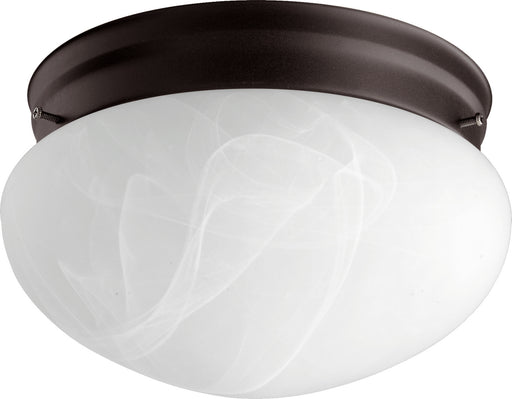 Two Light Ceiling Mount