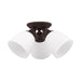 Somerville Ceiling Mount-Flush Mounts-Livex Lighting-Lighting Design Store