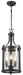 DVI Lighting - DVP4475HB-CL - Three Light Outdoor Pendant - Niagara Outdoor - Hammered Black with Clear Glass