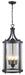 DVI Lighting - DVP4476HB-CL - Six Light Outdoor Pendant - Niagara Outdoor - Hammered Black with Clear Glass