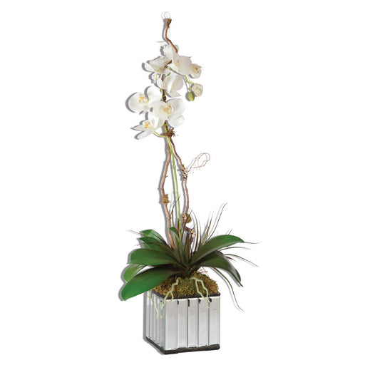 Kaleama Orchids Planter