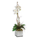 Uttermost - 60122 - Planter - Kaleama Orchids - White