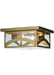 Meyda Tiffany - 140498 - Two Light Flushmount - Hyde Park - Satin Brass