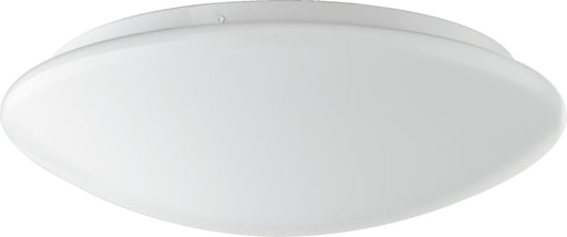 LED Ceiling Mount