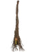 Meyda Tiffany - 160084 - One Light Wall Sconce - Twigs - Natural Wood,Timeless Bronze