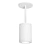 W.A.C. Lighting - DS-PD06-S27-WT - LED Pendant - Tube Arch - White