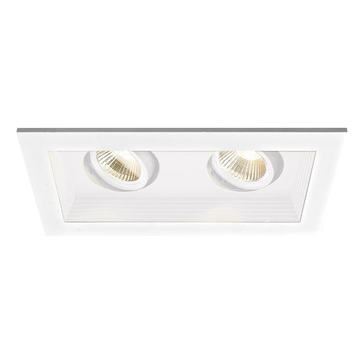 LED Two Light New Construction Housing with Trim and Light Engine