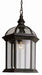 Trans Globe Imports - 4183 BC - One Light Hanging Lantern - Wentworth - Black Copper