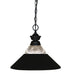 Z-Lite - 100701MB-RMB - One Light Pendant - Shark - Matte Black