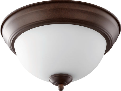 Two Light Ceiling Mount