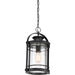 Booker Outdoor Hanging Lantern-Exterior-Quoizel-Lighting Design Store