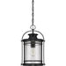 Booker Outdoor Hanging Lantern-Exterior-Quoizel-Lighting Design Store