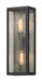 Troy Lighting - B5103-VBZ - Two Light Wall Lantern - Dixon - Vintage Bronze