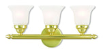 Livex Lighting - 1063-02 - Three Light Bath Vanity - Neptune - Polished Brass