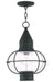 Livex Lighting - 26906-04 - One Light Outdoor Pendant - Newburyport - Black