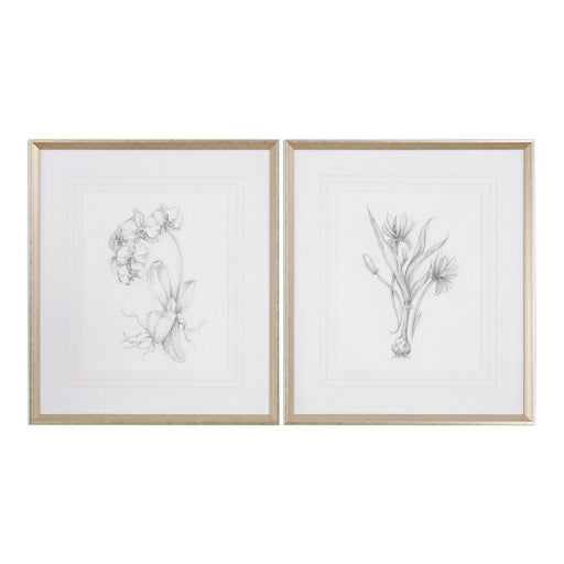 Uttermost - 33649 - Wall Art - Botanical Sketches - Silver Leaf