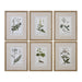 Uttermost - 33651 - Wall Art - Green Floral Botanical Study - Gold Leaf