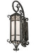 Meyda Tiffany - 178196 - One Light Wall Sconce - Caprice - Hand Wrought Iron