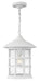 Hinkley - 1802CW - One Light Hanging Lantern - Freeport - Classic White