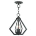 Livex Lighting - 40922-07 - Two Light Mini Chandelier/Ceiling Mount - Prism - Bronze