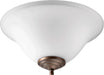 Quorum - 1177-801 - LED Fan Light Kit - Satin Nickel / Oiled Bronze