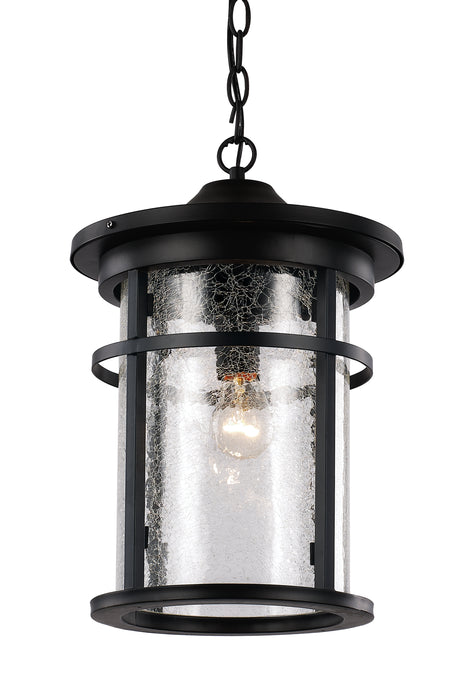 Trans Globe Imports - 40385 BK - One Light Hanging Lantern - Avalon - Black
