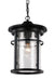 Trans Globe Imports - 40385 BK - One Light Hanging Lantern - Avalon - Black
