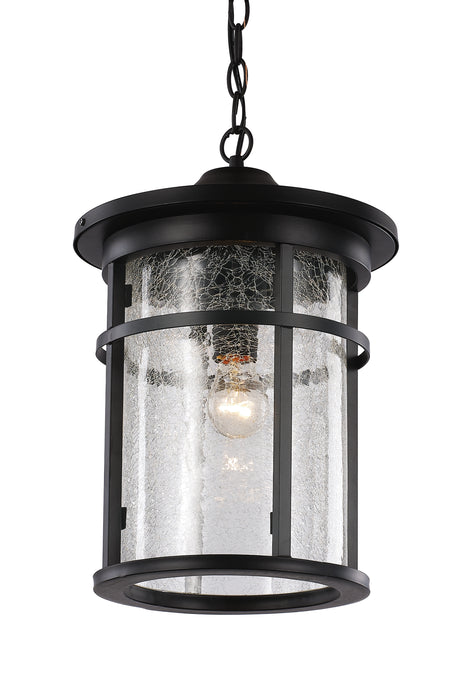 Trans Globe Imports - 40386 BK - One Light Hanging Lantern - Avalon - Black