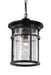 Trans Globe Imports - 40386 BK - One Light Hanging Lantern - Avalon - Black