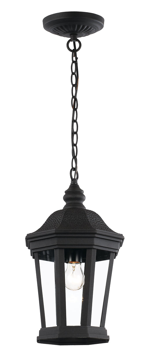 Trans Globe Imports - 40405 BK - One Light Hanging Lantern - Westfield - Black
