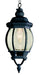 Trans Globe Imports - 4065 BK - One Light Hanging Lantern - Parsons - Black