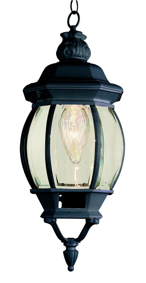 Trans Globe Imports - 4065 BK - One Light Hanging Lantern - Parsons - Black