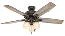 Hunter - 53336 - 52"Ceiling Fan - Donegan - Onyx Bengal