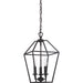 Aviary Foyer Pendant-Foyer/Hall Lanterns-Quoizel-Lighting Design Store