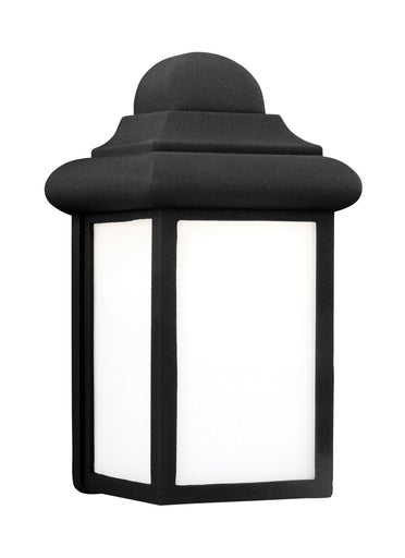 Mullberry Hill Outdoor Wall Lantern