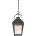Carriage Outdoor Hanging Lantern-Exterior-Quoizel-Lighting Design Store