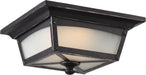 Nuvo Lighting - 62-823 - LED Flush Mount - Essex - Sterling Black