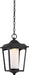 Nuvo Lighting - 62-824 - LED Outdoor Hanging Lantern - Essex - Sterling Black