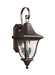 Generation Lighting - OL13101PTBZ - Two Light Outdoor Wall Lantern - Oakmont - Patina Bronze
