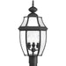 Progress Lighting - P6433-31 - Three Light Post Lantern - New Haven - Black