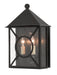 Currey and Company - 5500-0003 - Two Light Outdoor Wall Sconce - Ripley - Midnight